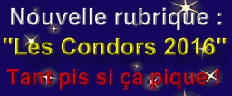 Logo Condors 2016